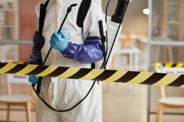 Professional Sewage Cleanup technician working in Merrill, IA